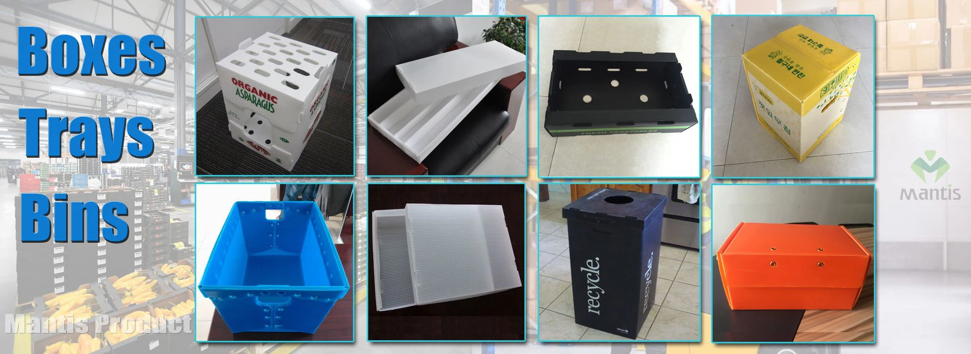 Corrugated Plastic Box