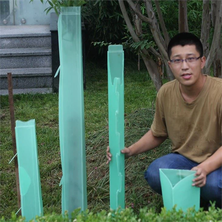 plastic vine guards price(001)