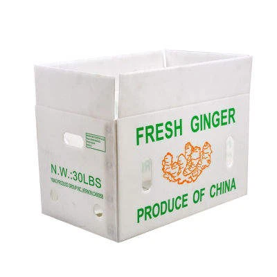 PP Corrugated Plastic Ginger Boxes