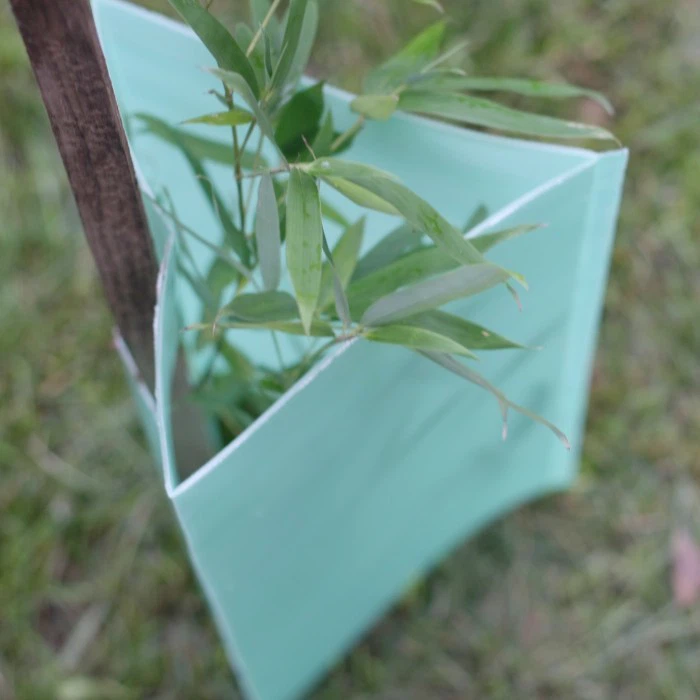 Corflute Tree Guards