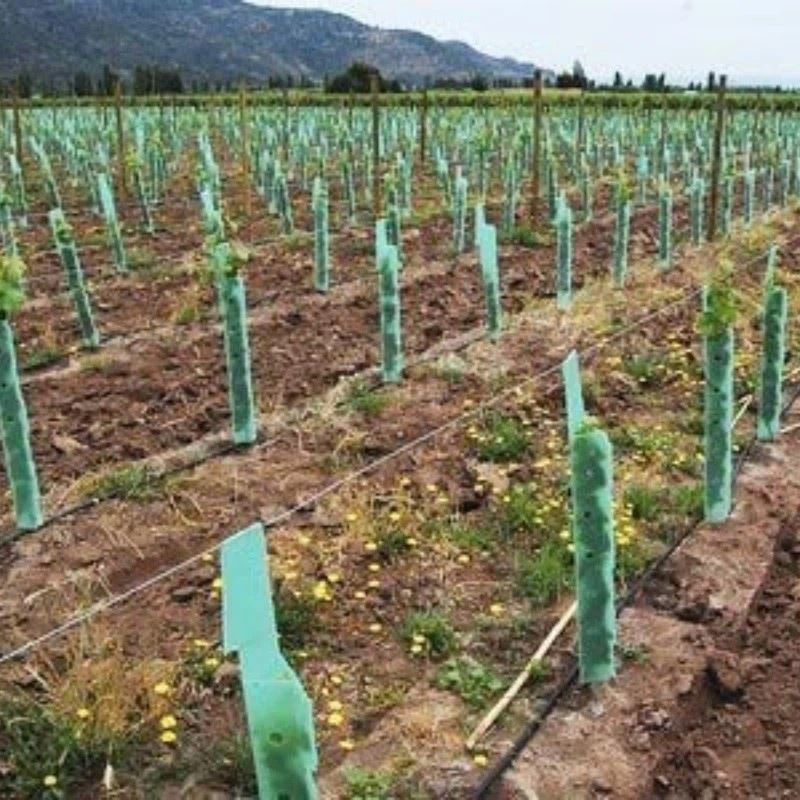 Eco-Friendly PP Plastic Tree Guard suppliers