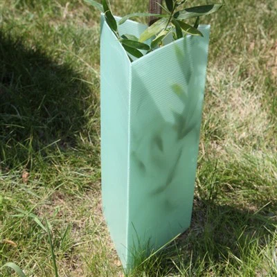 PP Plastic Tree Protector